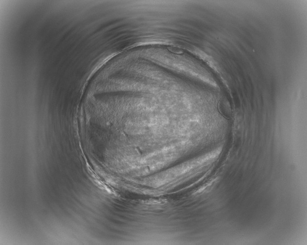 X0000071761137200607220003