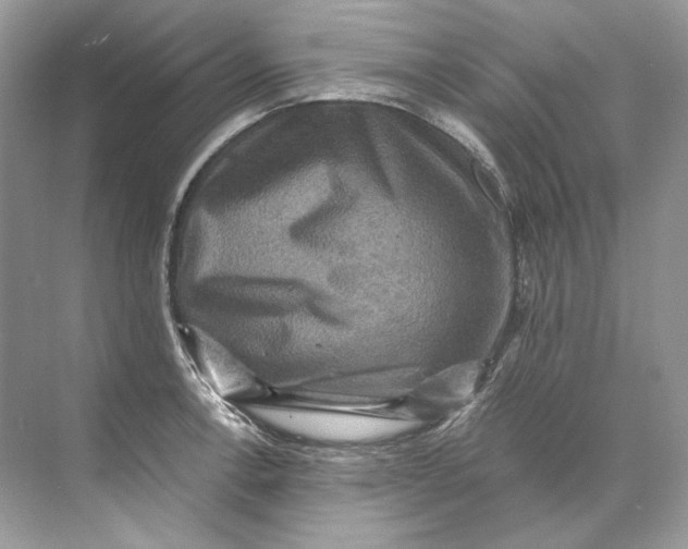 X0000071761138200607220003