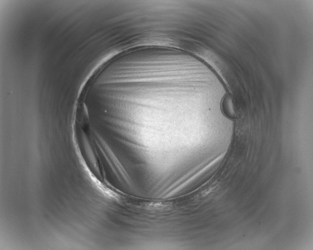 X0000071761139200607220003