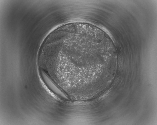 X0000071761142200607220003