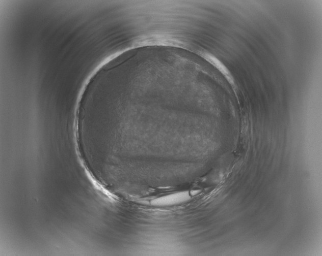 X0000071761144200607220003