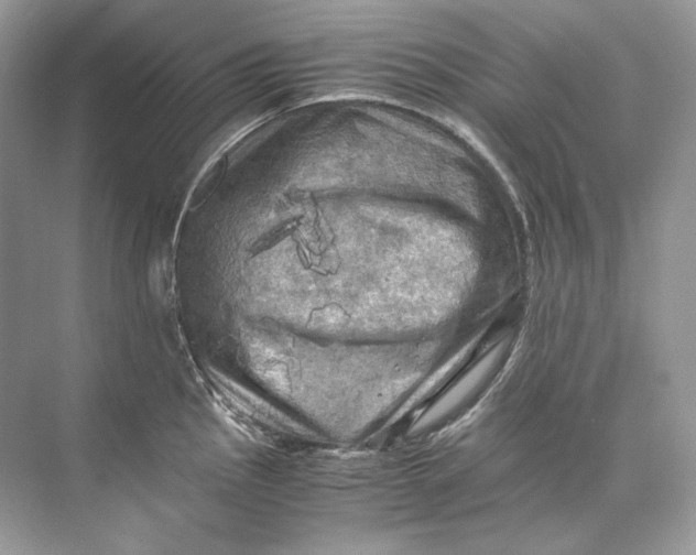 X0000071761145200607220003