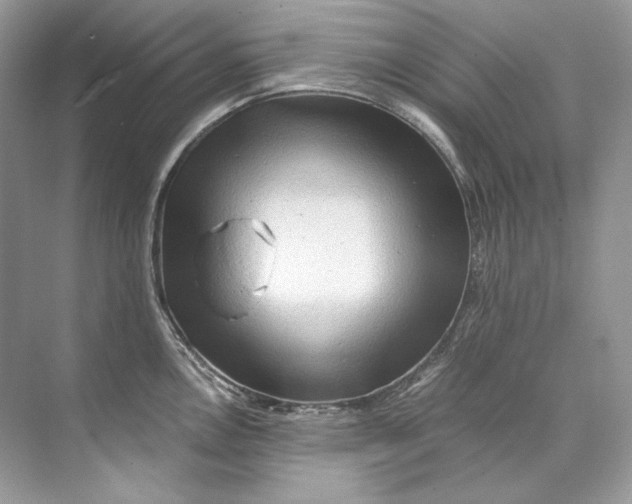 X0000071761146200607220003