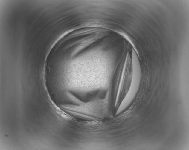 X0000071761147200607220003