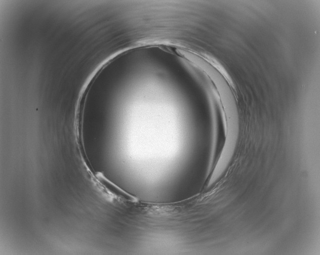 X0000071761148200607220003