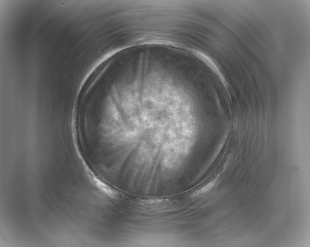 X0000071761149200607220003