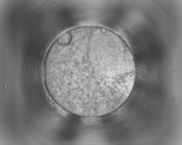 X0000071761150200607220003