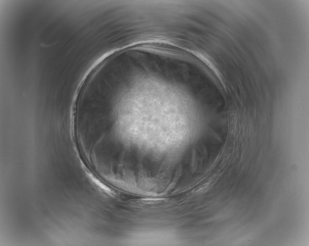 X0000071761151200607220003