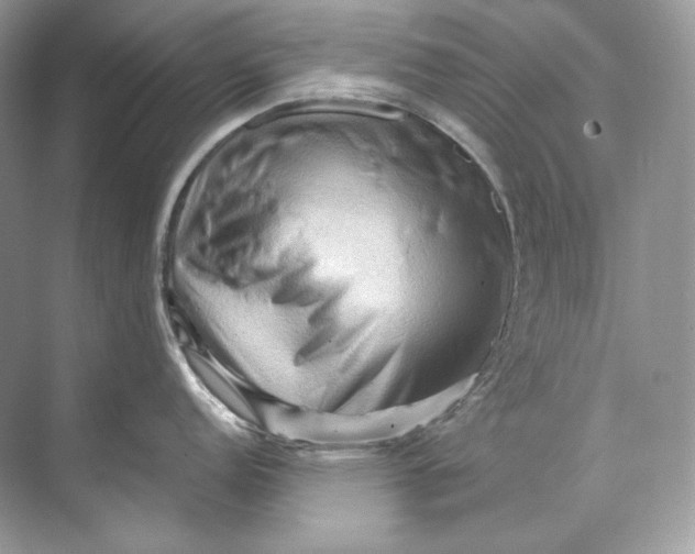 X0000071761152200607220003