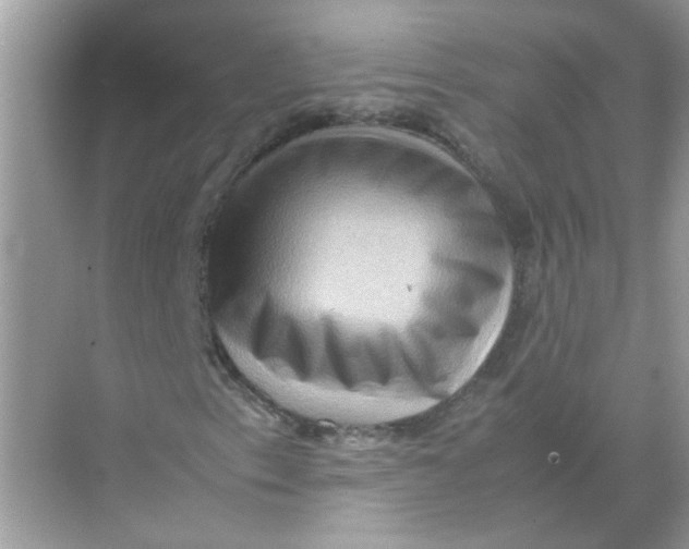 X0000071761153200607220002