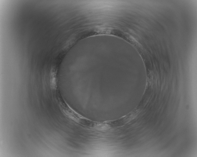 X0000071761154200607220002