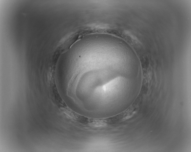 X0000071761157200607220002