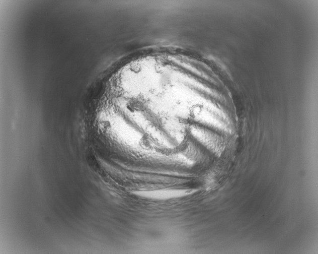 X0000071761159200607220002