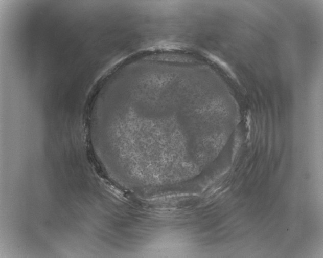 X0000071761160200607220002