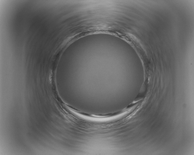 X0000071761161200607220002