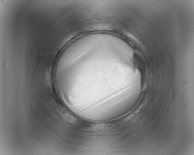 X0000071761162200607220002