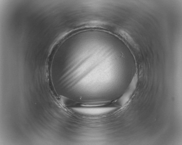 X0000071761164200607220002