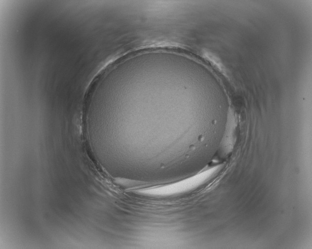 X0000071761165200607220002