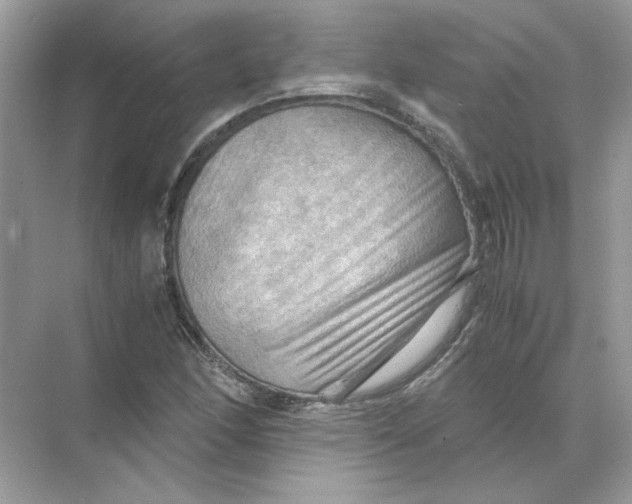 X0000071761166200607220002