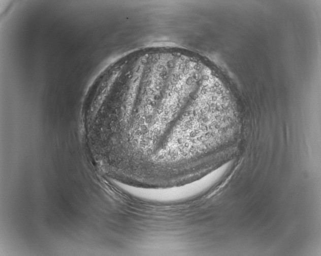 X0000071761167200607220002