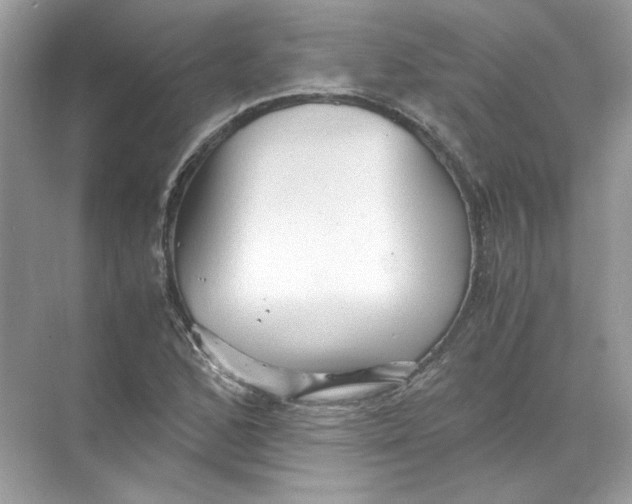 X0000071761168200607220002