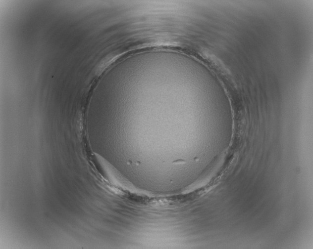 X0000071761169200607220002