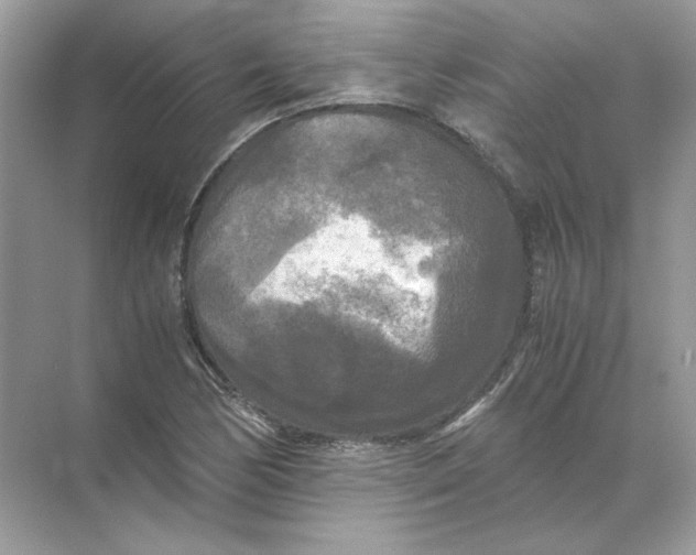 X0000071761170200607220002