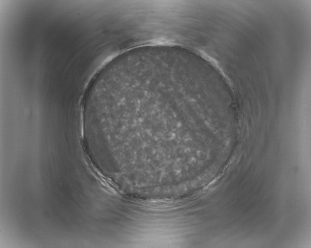 X0000071761171200607220002