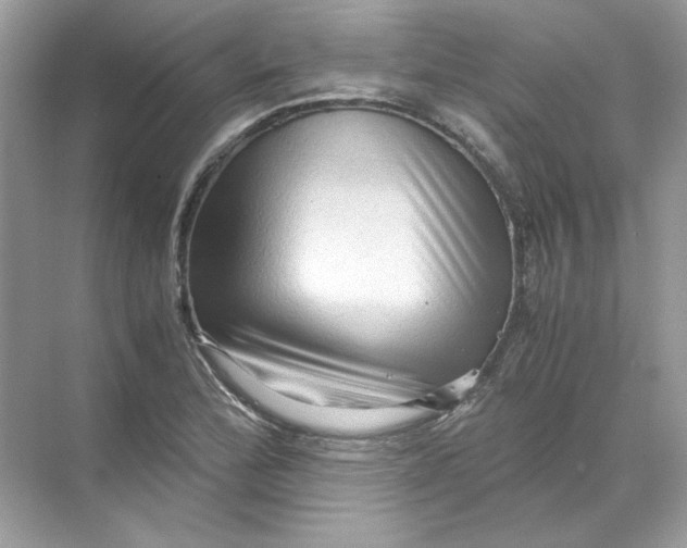 X0000071761172200607220002