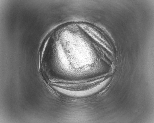 X0000071761175200607220002