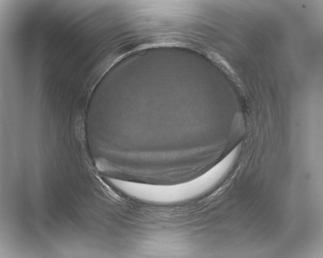 X0000071761177200607220002