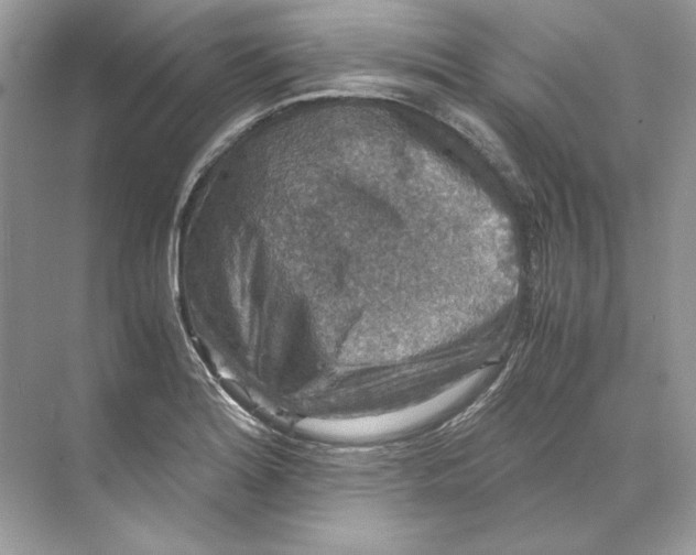 X0000071761180200607220002