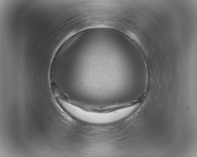 X0000071761181200607220002