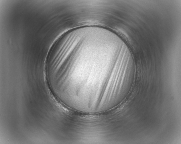 X0000071761182200607220002