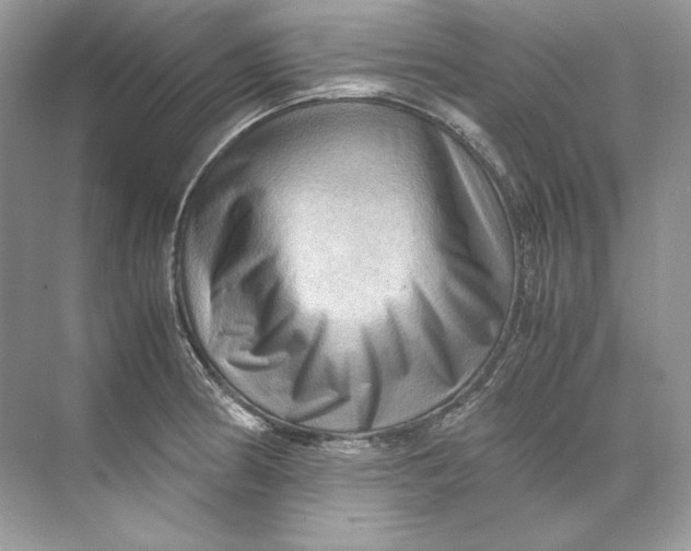 X0000071761186200607220002