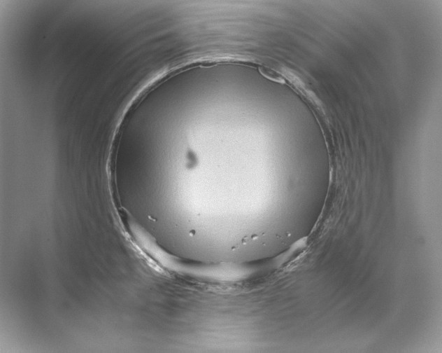 X0000071761189200607220002