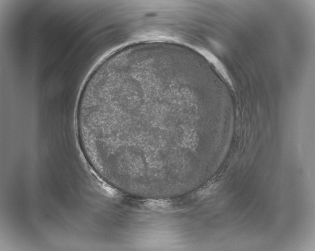 X0000071761191200607220002