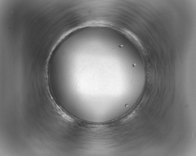 X0000071761192200607220002