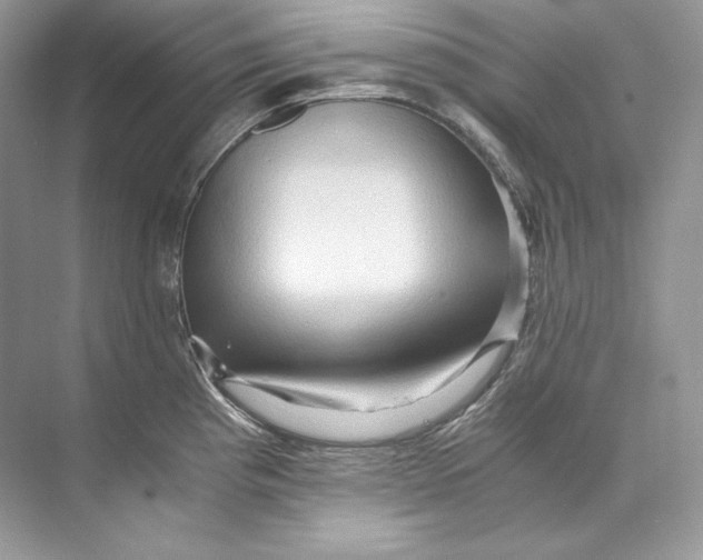 X0000071761193200607220002