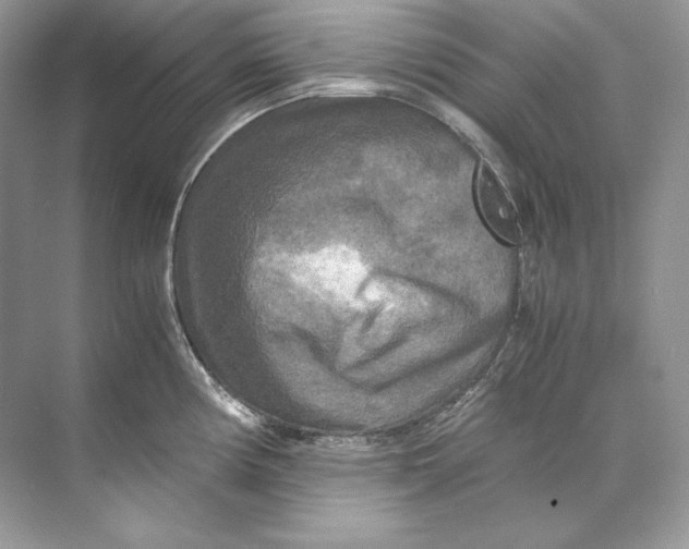 X0000071761194200607220002