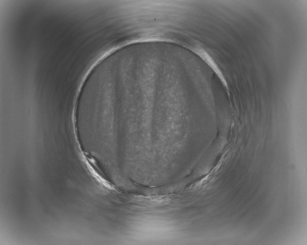 X0000071761197200607220002