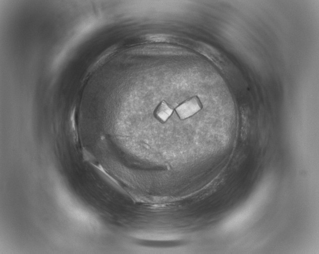 X0000071761198200607220002