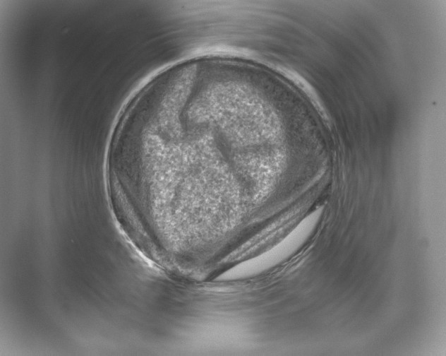 X0000071761199200607220001