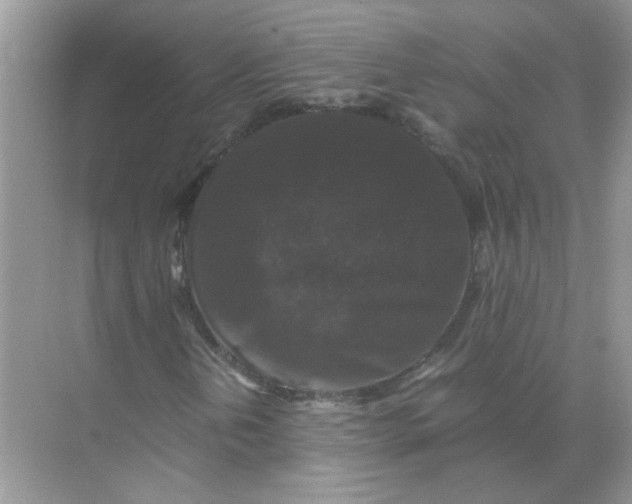 X0000071761202200607220001