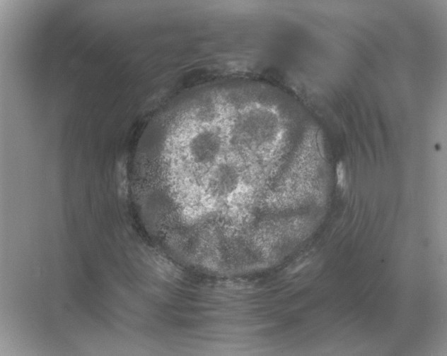 X0000071761203200607220001