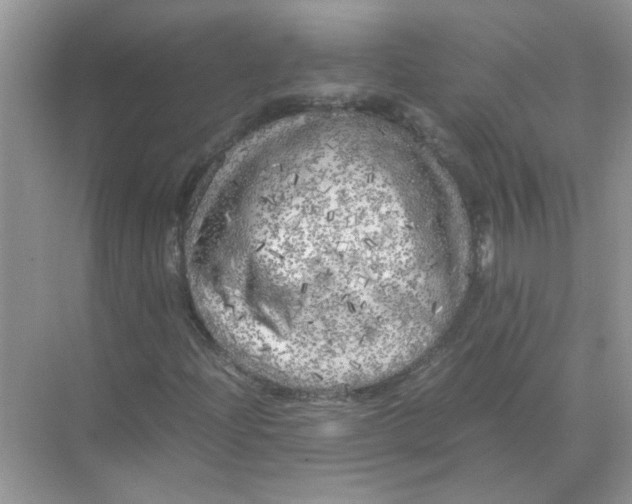 X0000071761204200607220001