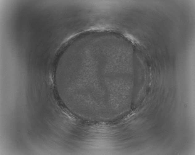 X0000071761206200607220001