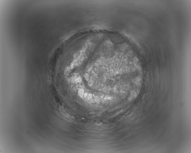 X0000071761207200607220001