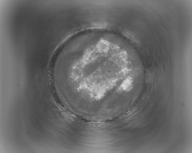 X0000071761208200607220001