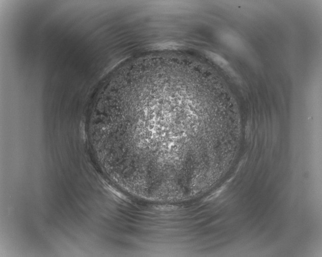 X0000071761209200607220001